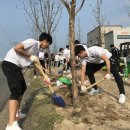 (주)포항스틸러스 이미지