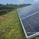 무성햇빛발전소 이미지