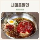 밀면마을 | 청도 맛집: 부산이 부럽지 않은 자가제면 밀면 맛집 새마을밀면 솔직후기