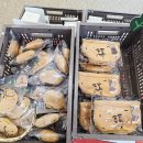 청강카인테리어 | 🌾 춘천 감자밭 카페 완벽 가이드 | 감자빵 맛집 &amp; SNS 포토스팟 총정리