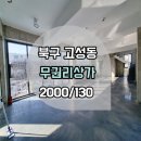 G1565 이미지