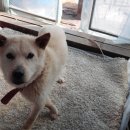 당골농장 이미지