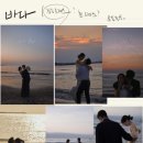 사계 돌담숲 이미지