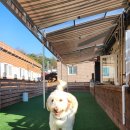 올바로 교육문화센터 이미지