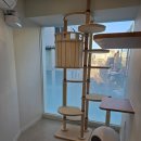 리디아 동물병원 이미지