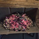 갓바위황토숯가마 이미지