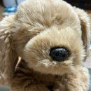 가가데코 | 블챌 겸… 아홉번째 근황보고