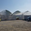 유주농장 이미지