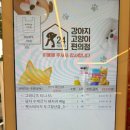 강아지고양이편의점청주
