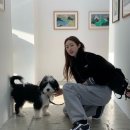 [프라다/패딩] 프라다 여성 투웨이 패딩 36사이즈 리나일론 크롭 컨버터블 다운 재킷 리뷰