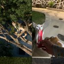 키코1983 이미지