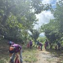 영동환경 이미지