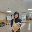 단비 랑