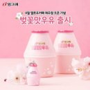 팔도비빔밥 이미지