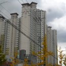 포항시남구32 이미지