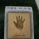 스포츠타운 인조잔디구장 Daum카페