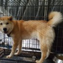 충무중학교 이미지