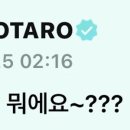 땡벌 이미지