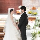 서초대로64길 73 | 로위스냅 서초동성당 본식스냅 서브스냅