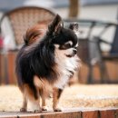 W&W(와앤와) 이미지