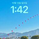 보아보러 갔다가 점핑보아에 반하고 온 이야기