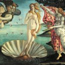 금성에너지 이미지