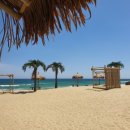 나인비치37 이미지