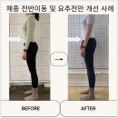 하이셀 - 연제구 연제로8번길 91 | 요추전만 자세 잡으려고 시작한 요추전만 쿠션 솔직 후기