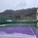 [리뷰]'더 테스존파크 춘천' 실내, 실외 테니스장 및 대형 볼머신기