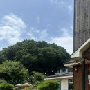 쏘갈매운탕 이미지