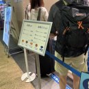 미뇽(mignon) 이미지