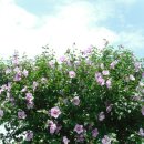 유스호텔 진입로  유스호텔 이미지