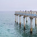 울진시범바다목장해상낚시 이미지