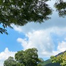 동신슈퍼 이미지