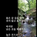 한국의 미래를 펼치실 ●별님 닭 ●일출과 구름●동물들의사랑 ●위대한대한민국●천당에가고싶나 ●법정●영국여왕한국영주권신청● 이미지