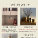 자연의 미학 이미지