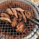 멍텅구리꼼장어 이미지