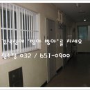 디아뜨1 B 이미지