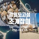 씨유고성공현진해변점 | 강원도 고성 조개잡이 해루질 명소 송지호 VS 공현진 (포인트, 조과물 공개)