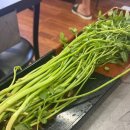 공명농장 이미지