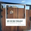 견종 제한없는 당진 독채 펜션 파머스데이에 다녀왔콩