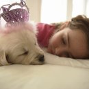 되지 생활건강 이미지