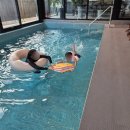 파인센트 풀빌라 펜션 | 최대 12인 수용가능한 가평독채펜션 파인센트풀빌라 솔직리뷰