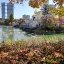 석촌새마을 이미지