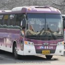 삼흥차량 이미지