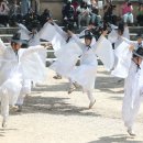 부산동래민속예술축제 부산일보