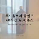 디톡스마켓 | 내돈내산 푸드올로지 톡스올로지 클렌즈 48시간 ABC주스 솔직후기 2일 디톡스 리얼 기록