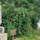 노적산농장 이미지