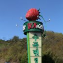 수곡면 딸기조형물 이미지