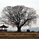 세도 다근진나루 및 구경정 Daum카페